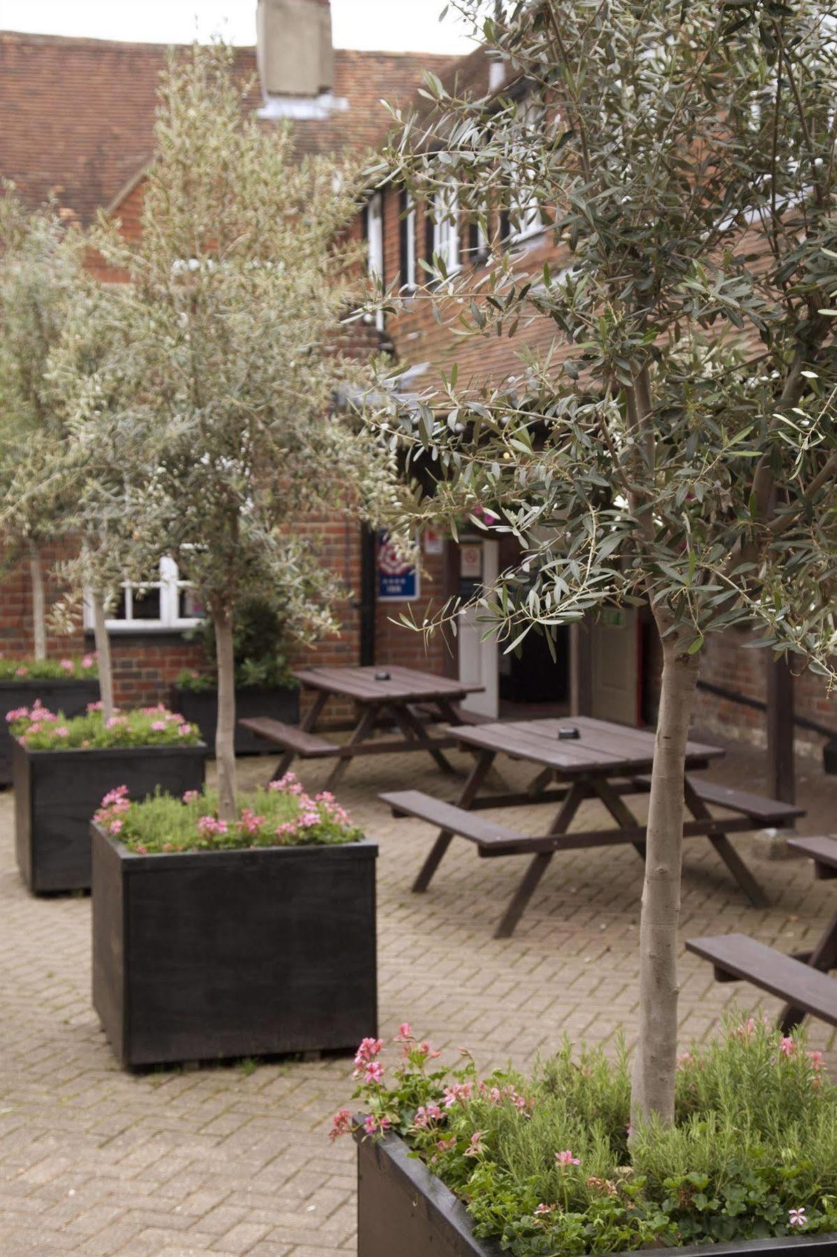 The Dog & Bear Hotel Lenham Buitenkant foto